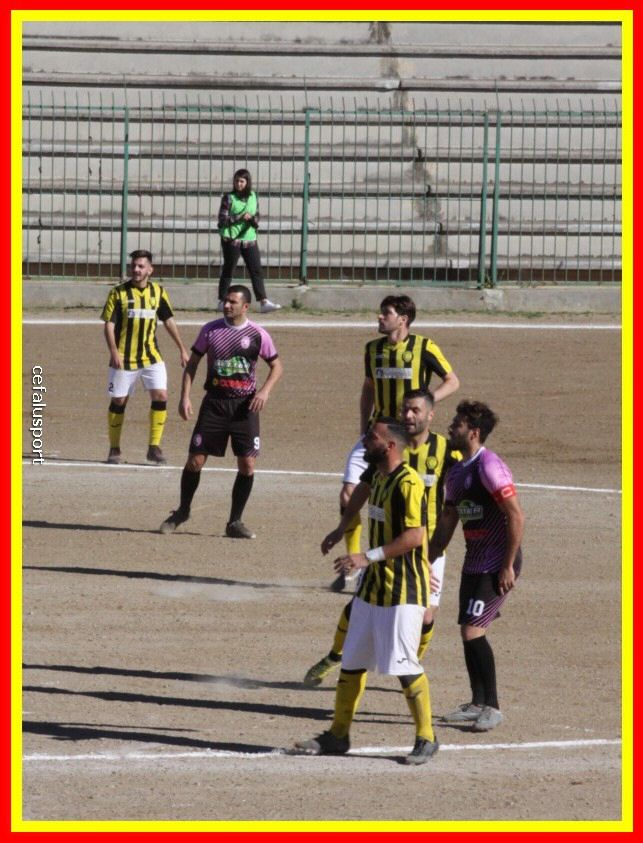 190310 Cephal_Torrenov 059_tn.jpg